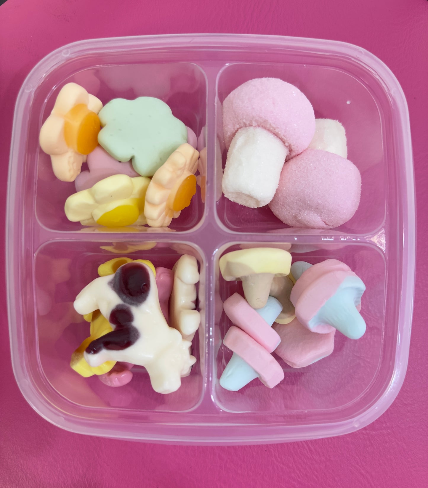 Swedish Candy Snackle Box